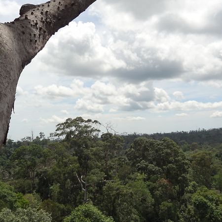 Samboja Lodge 巴厘巴板 外观 照片