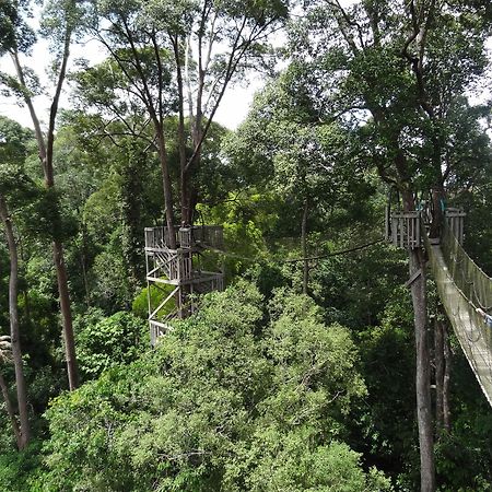 Samboja Lodge 巴厘巴板 外观 照片