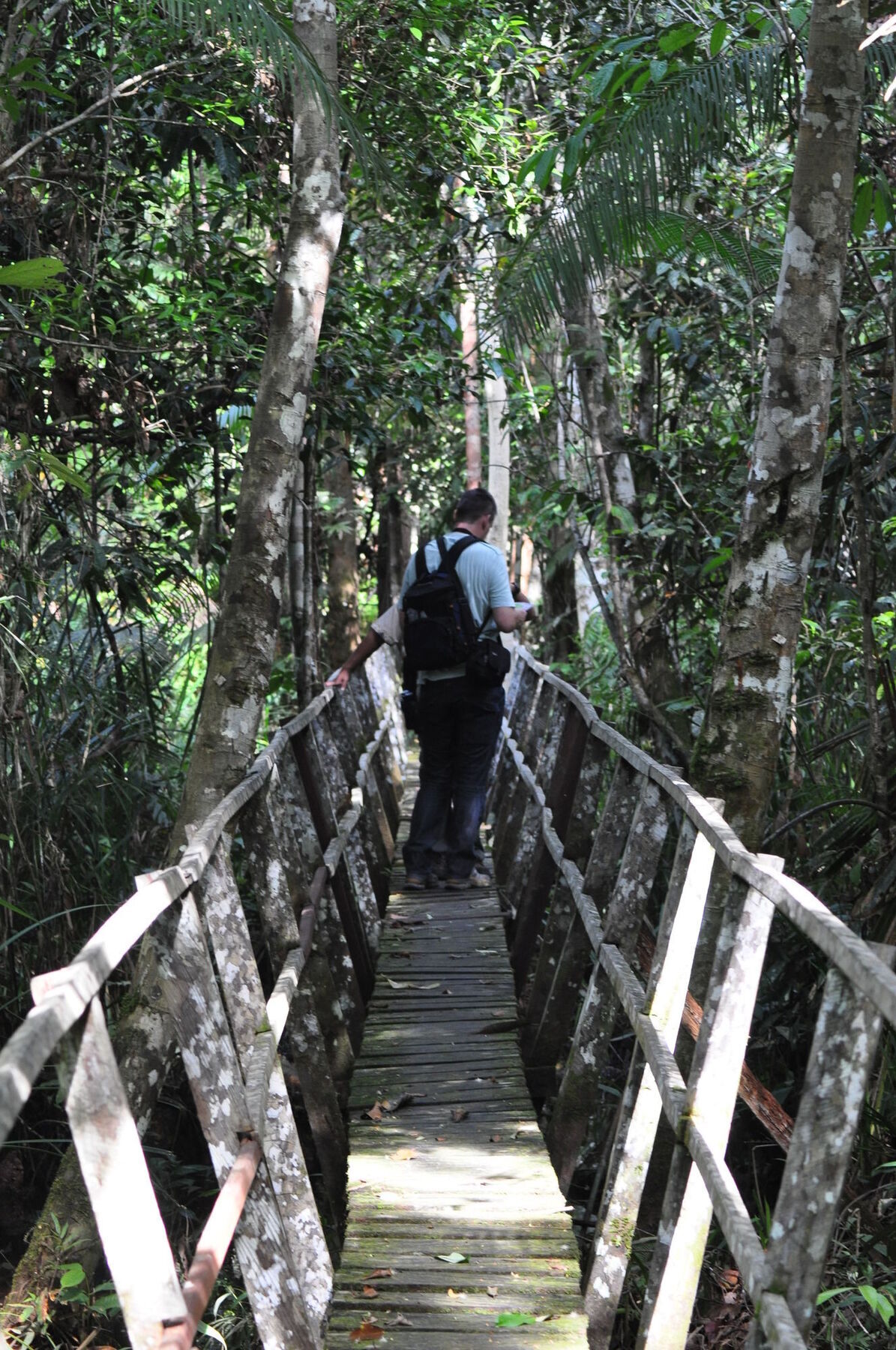 Samboja Lodge 巴厘巴板 外观 照片