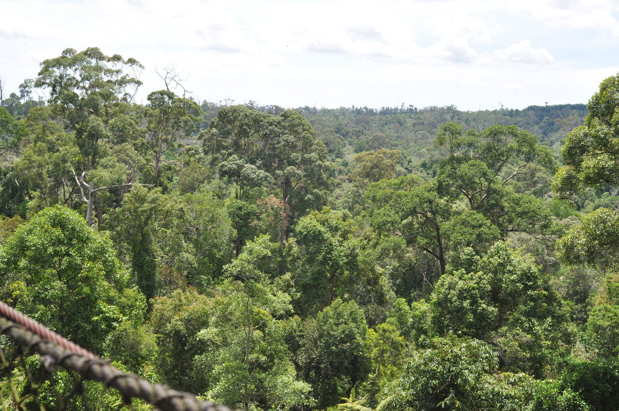Samboja Lodge 巴厘巴板 外观 照片