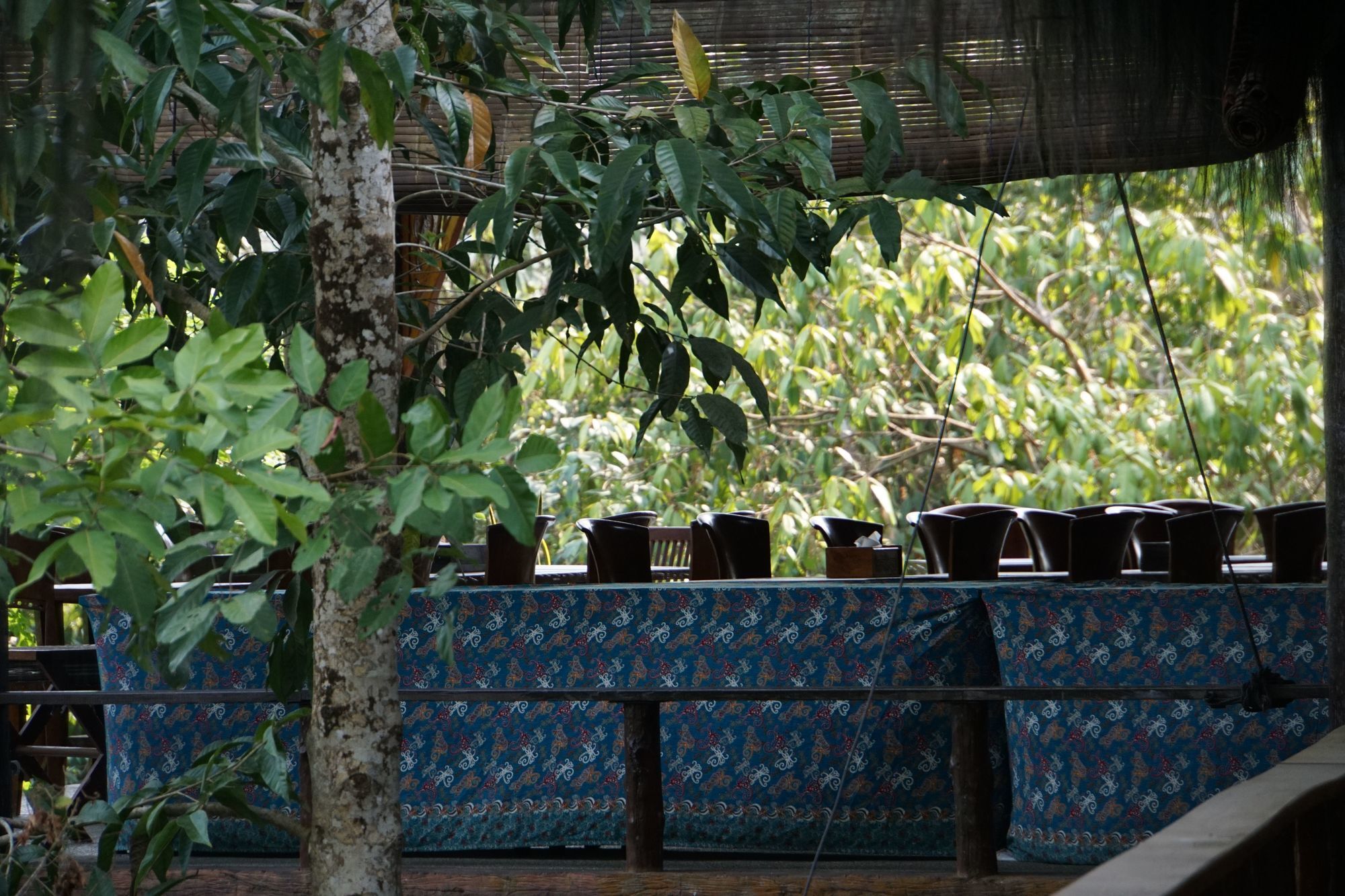 Samboja Lodge 巴厘巴板 外观 照片