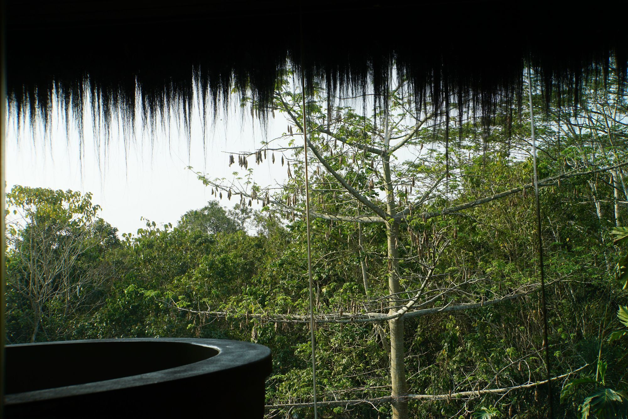 Samboja Lodge 巴厘巴板 外观 照片
