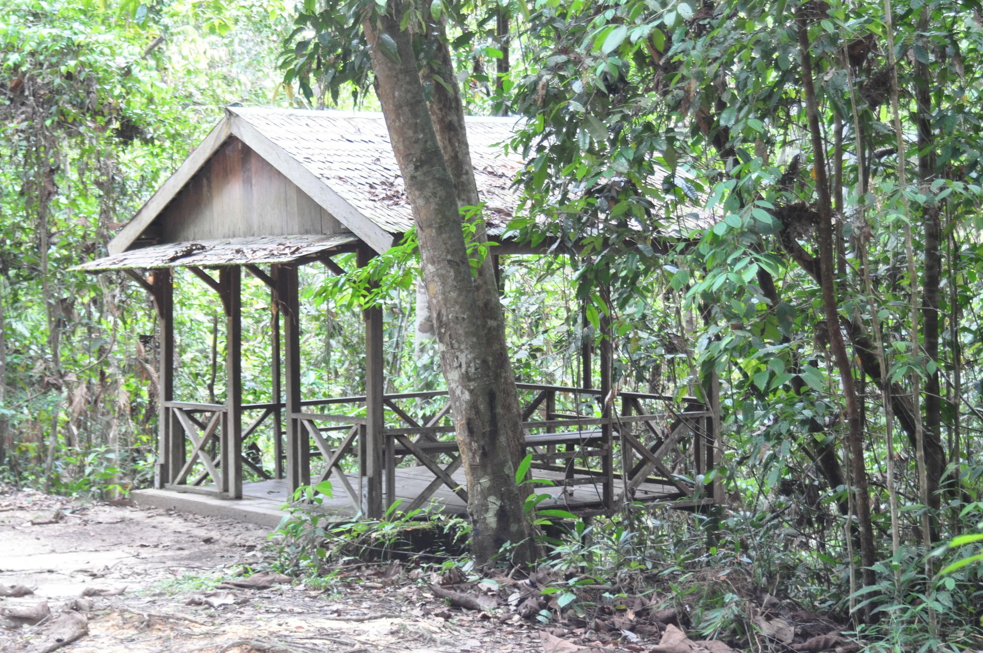 Samboja Lodge 巴厘巴板 外观 照片
