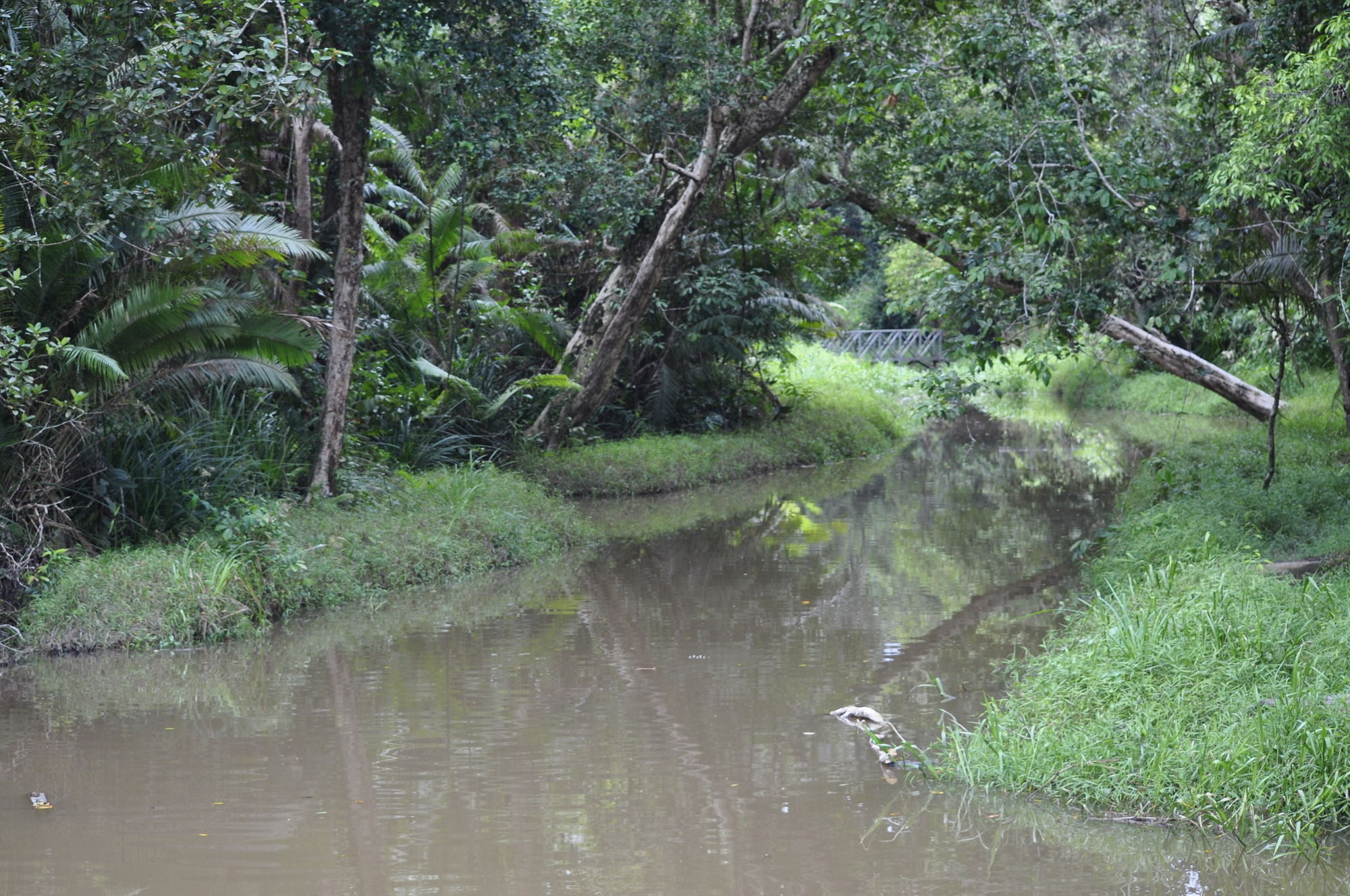 Samboja Lodge 巴厘巴板 外观 照片