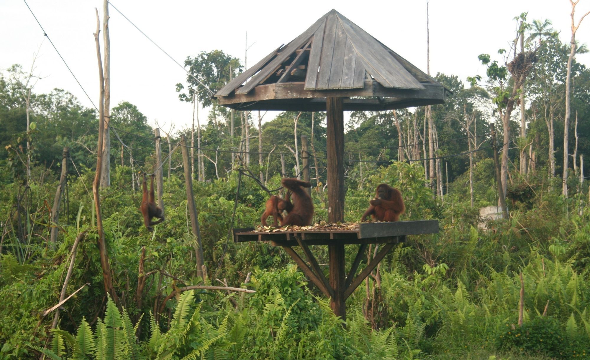 Samboja Lodge 巴厘巴板 外观 照片