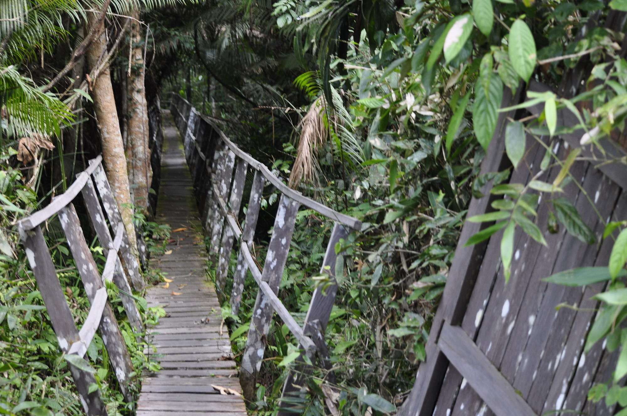 Samboja Lodge 巴厘巴板 外观 照片