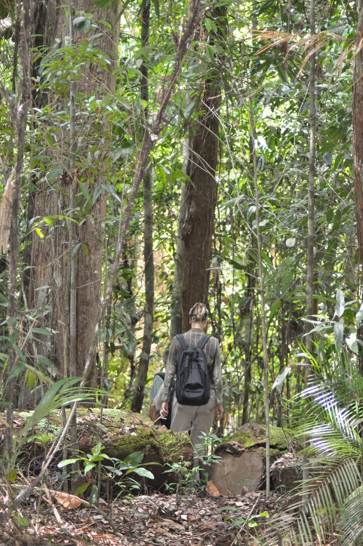 Samboja Lodge 巴厘巴板 外观 照片